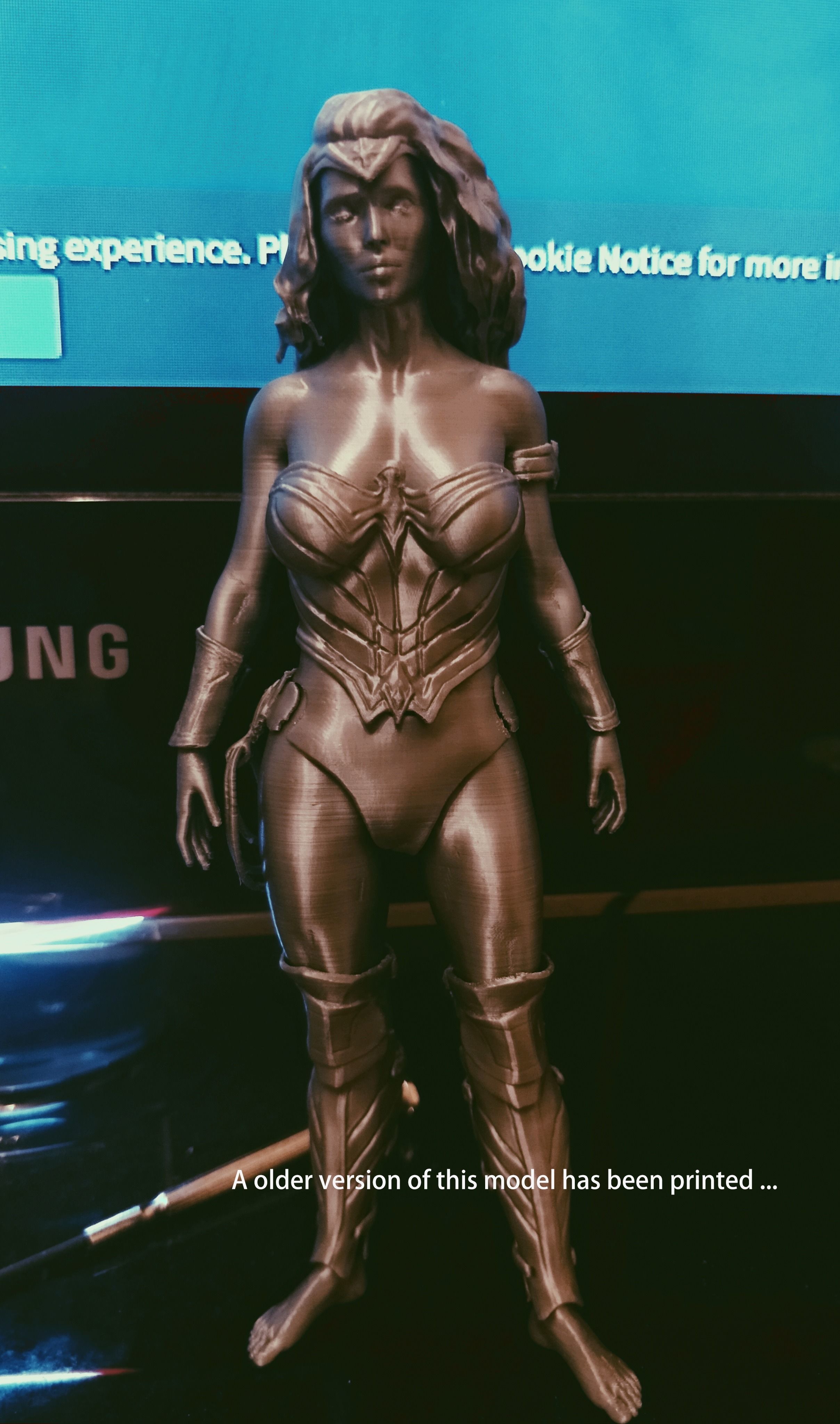 Customizable Wonder Woman Figure For 3D Printing 3D print model_8
