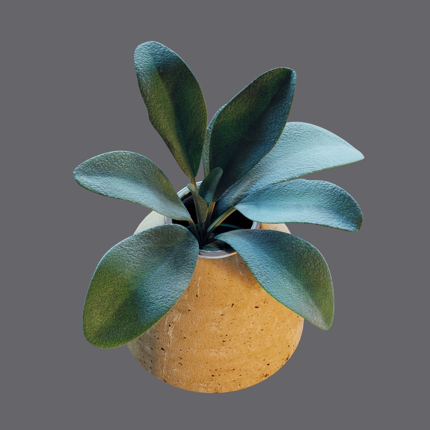 Set of plants 04 3D model_8