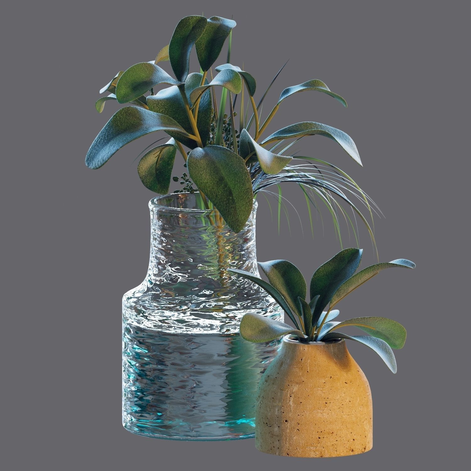 Set of plants 04 3D model_2