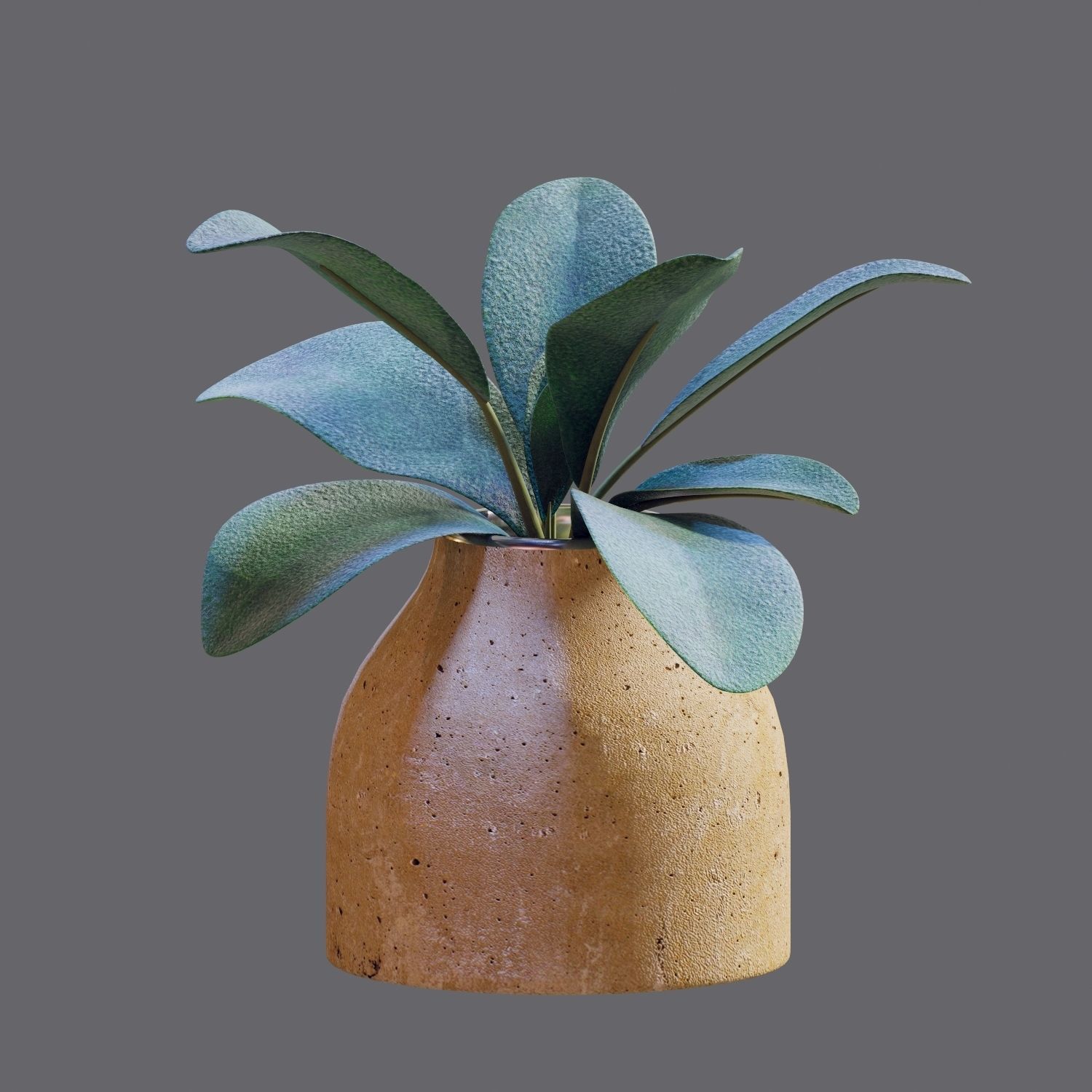 Set of plants 04 3D model_6