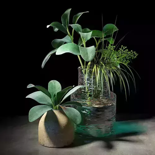 Set of plants 04 3D model