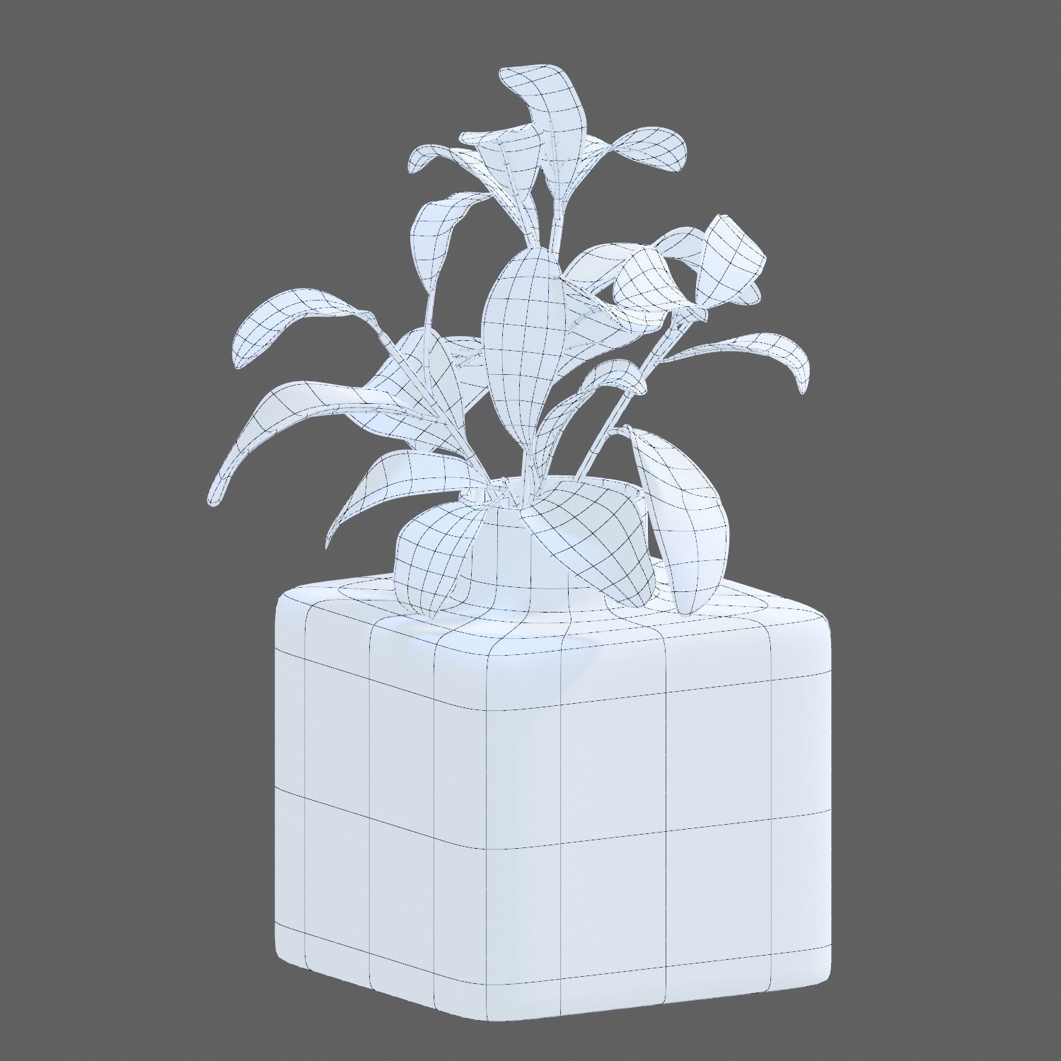 Set of plants 05 3D model_9