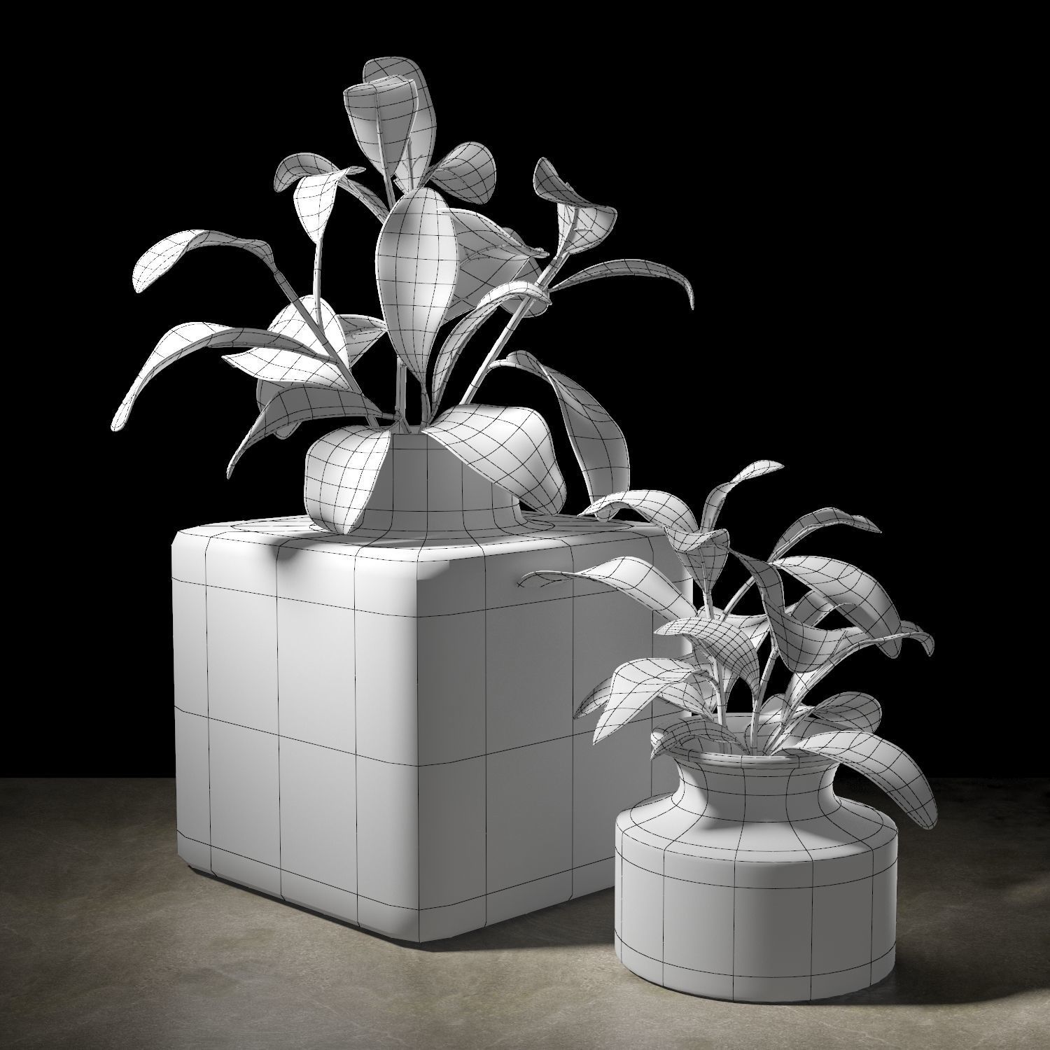 Set of plants 05 3D model_3