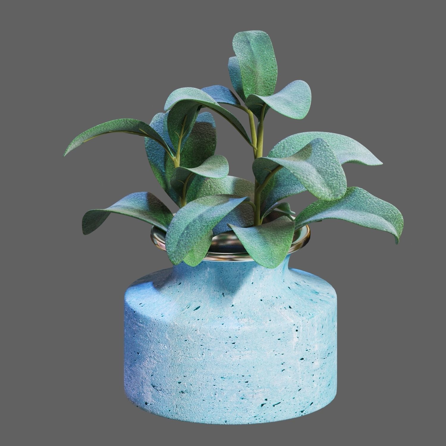 Set of plants 05 3D model_6
