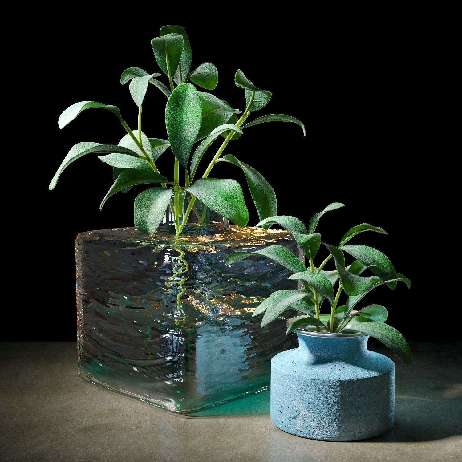Set of plants 05 3D model_2