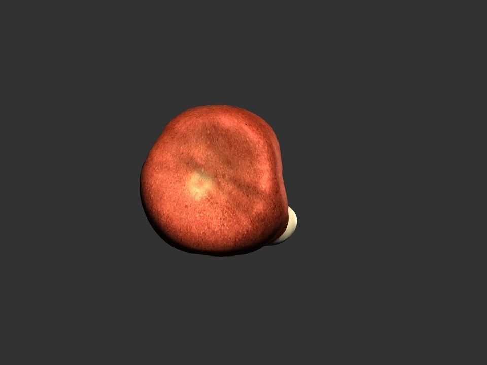 Printable 3D meat 3D print model_1