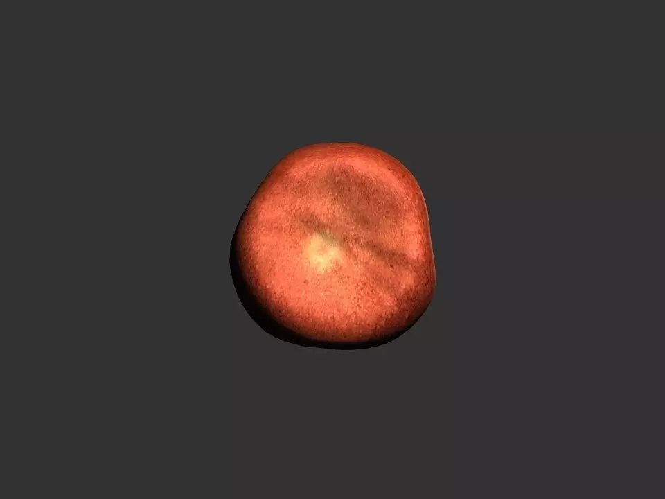 Printable 3D meat 3D print model_0