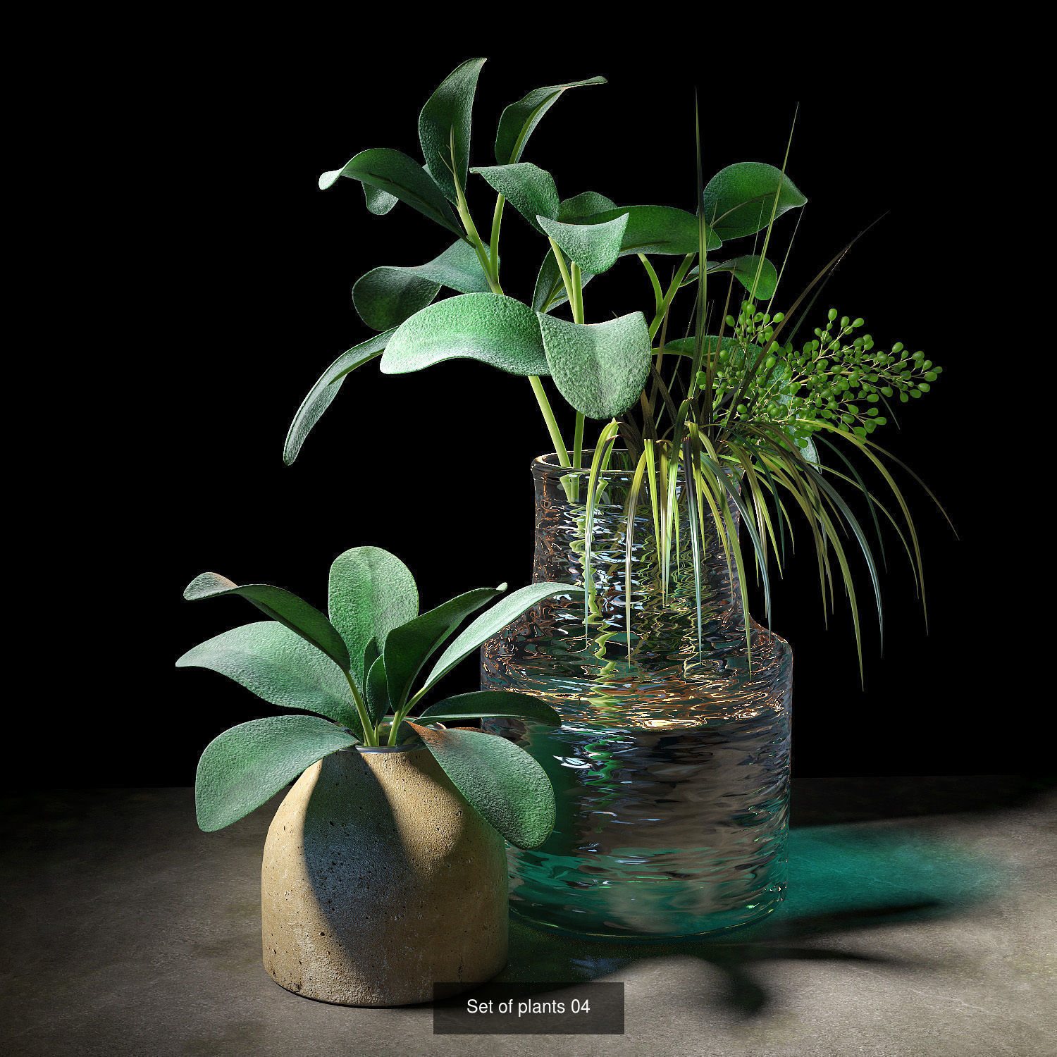 set of plants 001-005 3D Model Collection_4