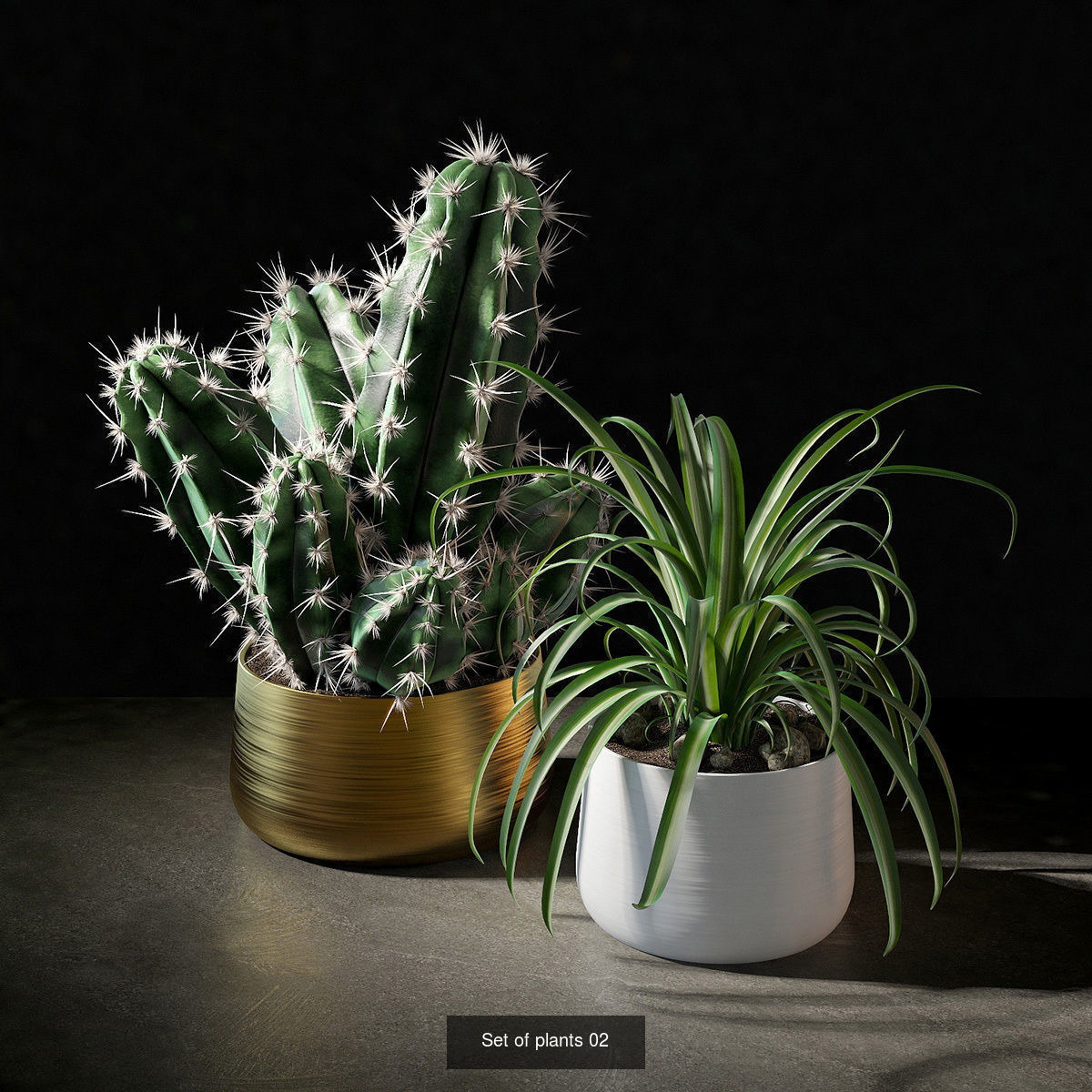 set of plants 001-005 3D Model Collection_2