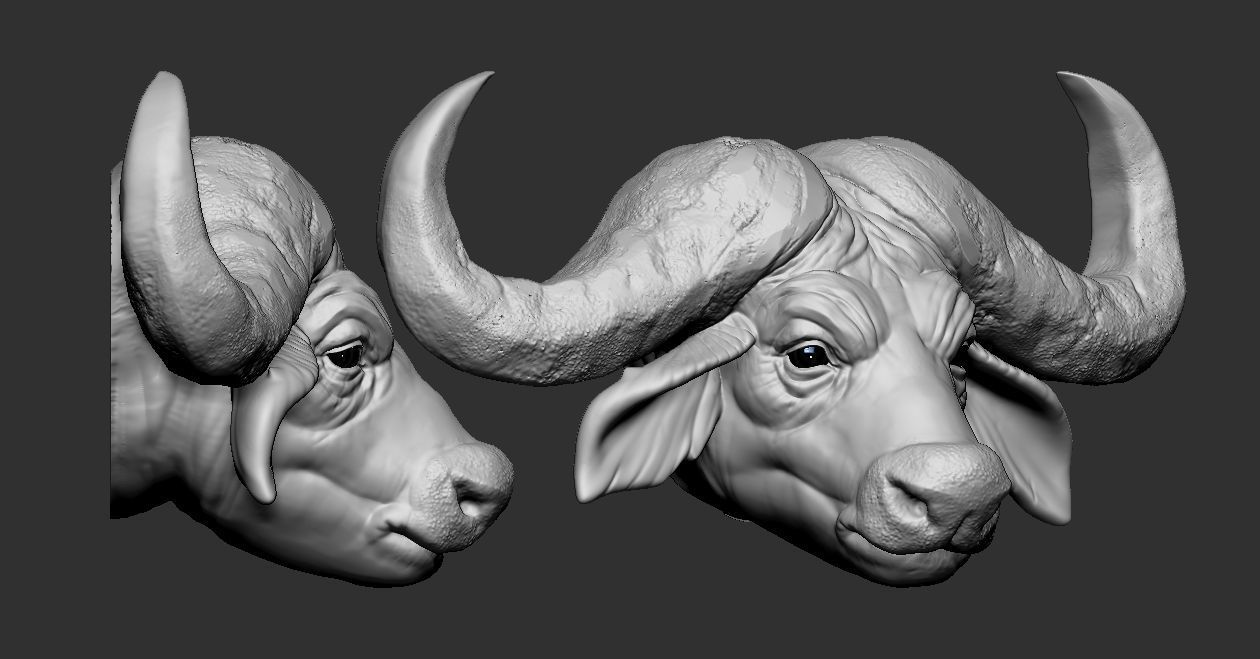 African Buffalo head 3D print model_1