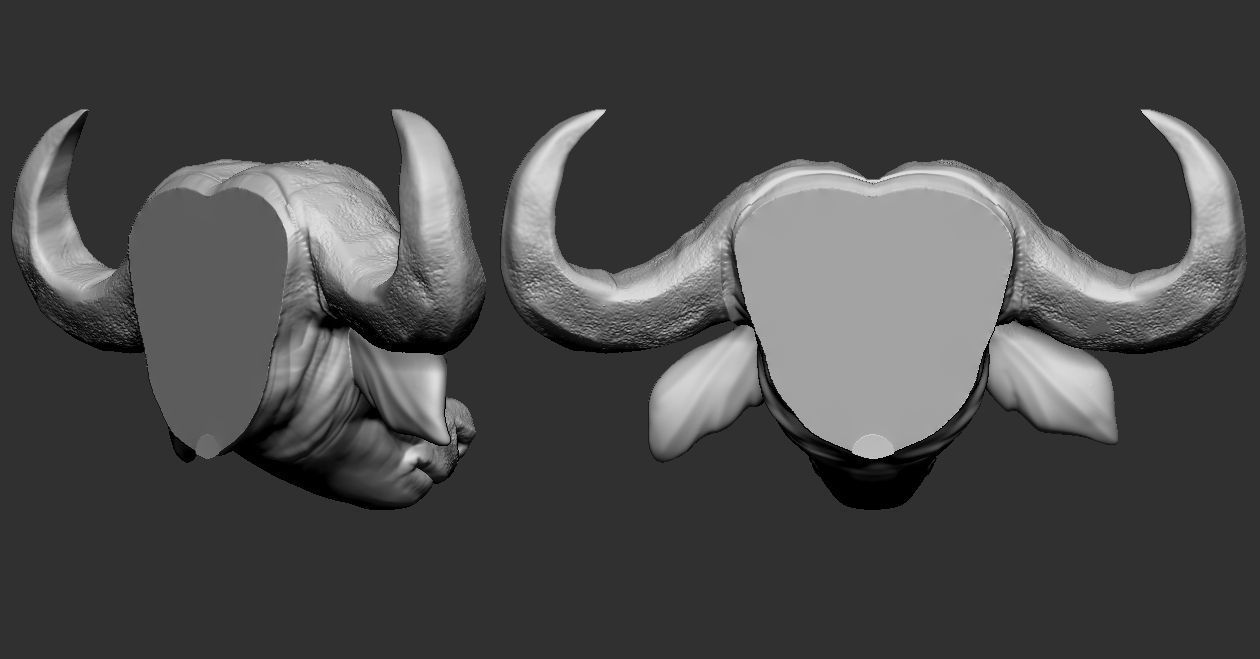 African Buffalo head 3D print model_2