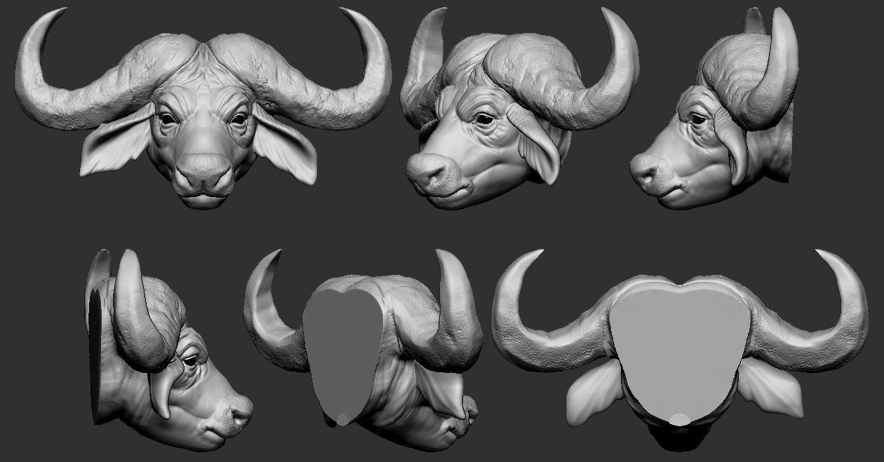 African Buffalo head 3D print model_4