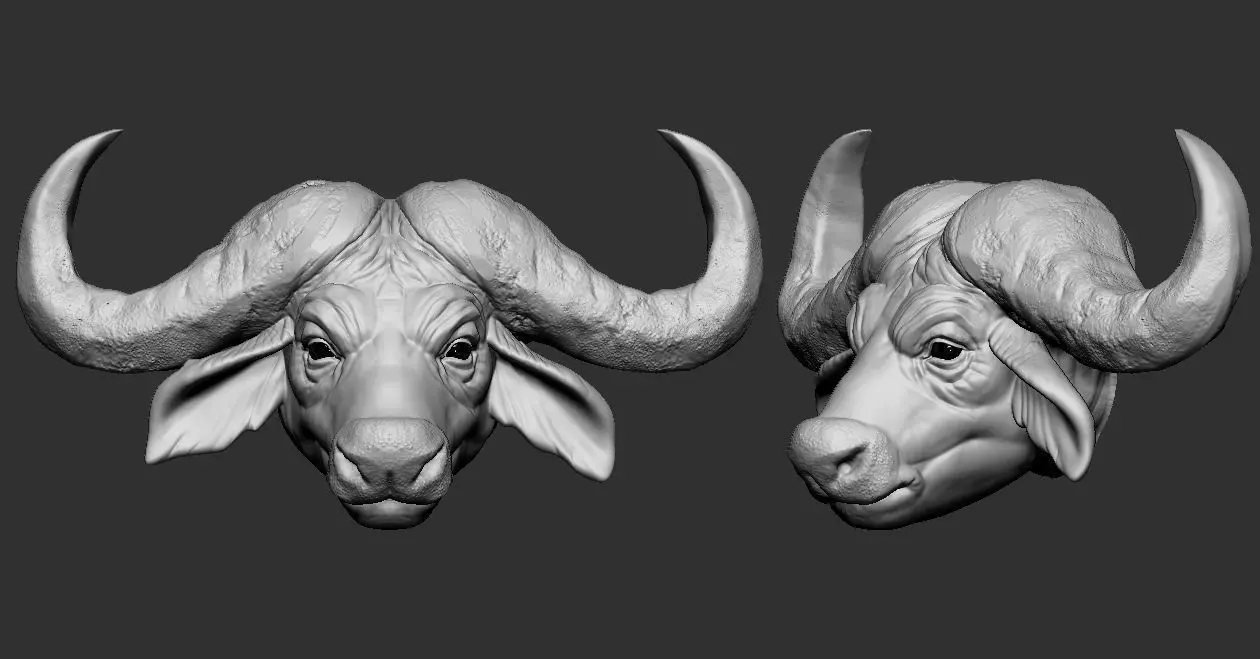 African Buffalo head 3D print model_0