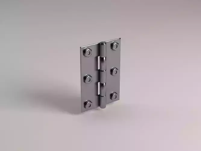 HINGES---Chrome door hinge