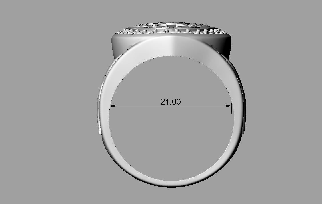 Ring Motor Harley Davidson  3D print model_6