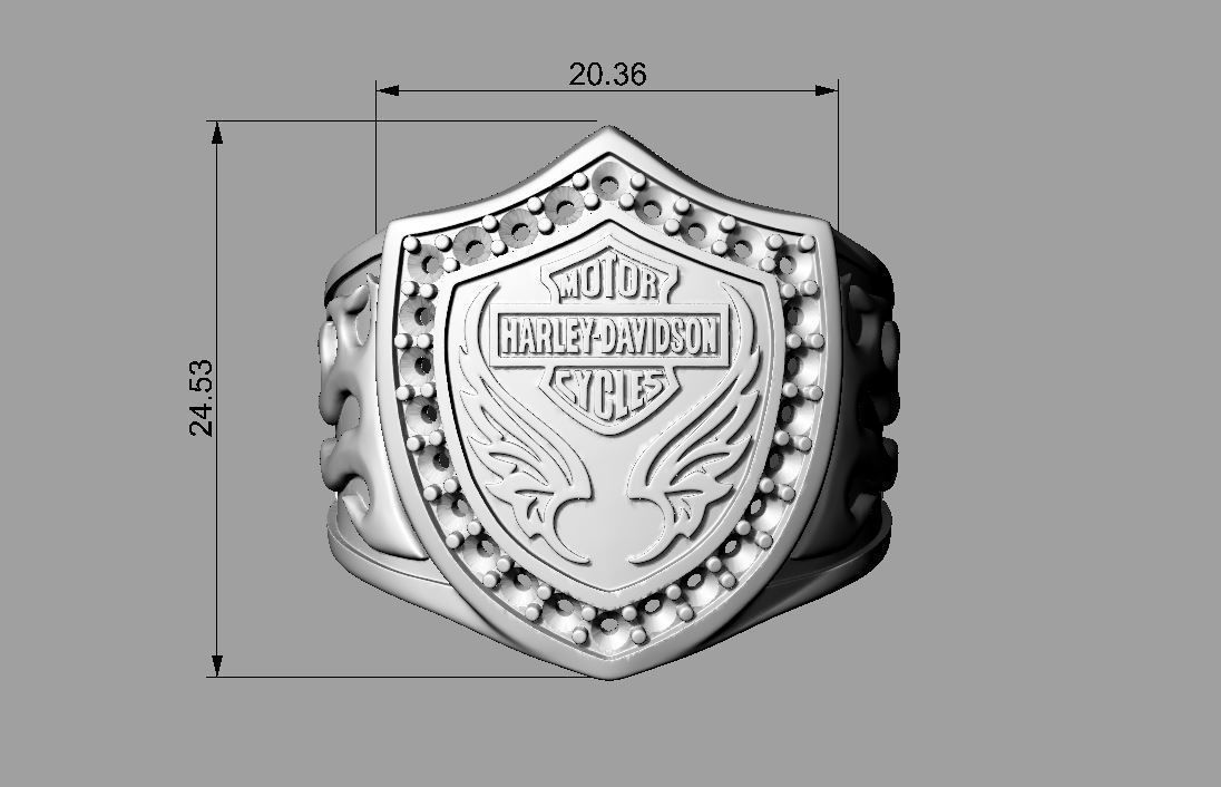 Ring Motor Harley Davidson  3D print model_7
