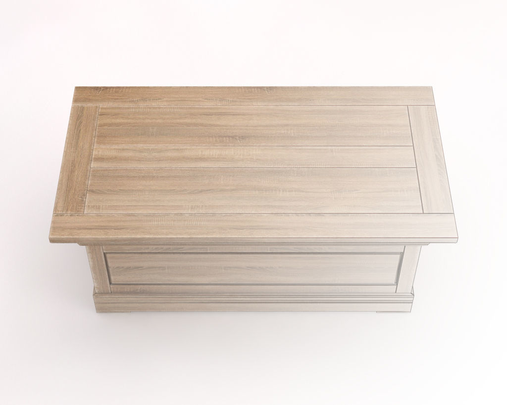 LOUNGE TABLE---Chest 3D model_13