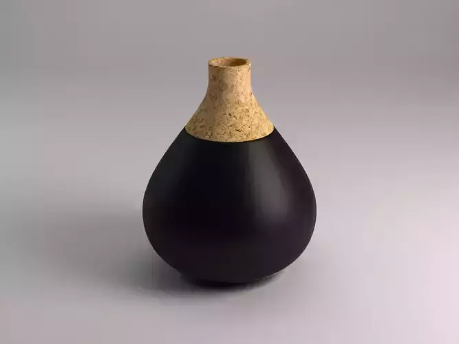 CERAMIC VASE---Cork tip 3D model