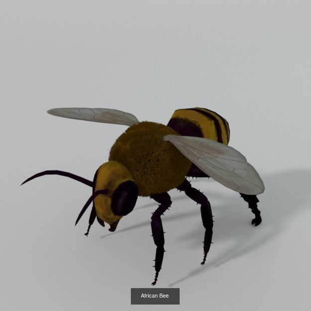 16 Insect Animals Pack 3D Model Collection_2
