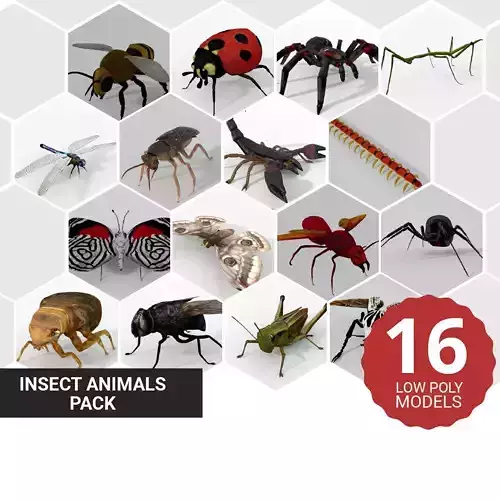 16 Insect Animals Pack 3D Model Collection