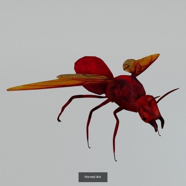 16 Insect Animals Pack 3D Model Collection_1