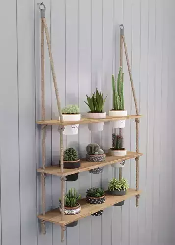PLANT MODEL 4 wooden shelf with potted plants hanging