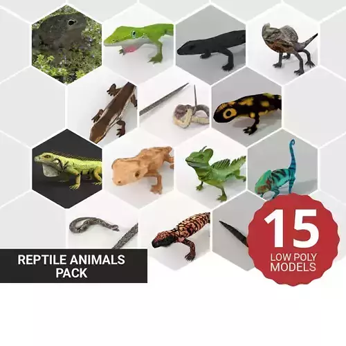 15 Lowpoly Reptile Animals Pack 3D Model Collection