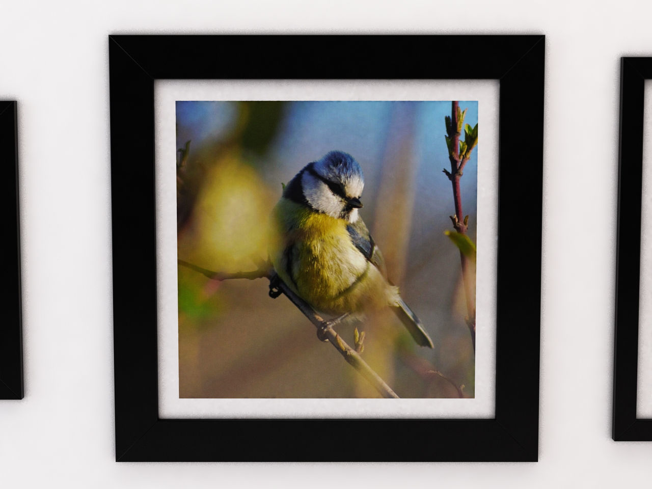 PHOTO FRAME---Collection x7 different size _27