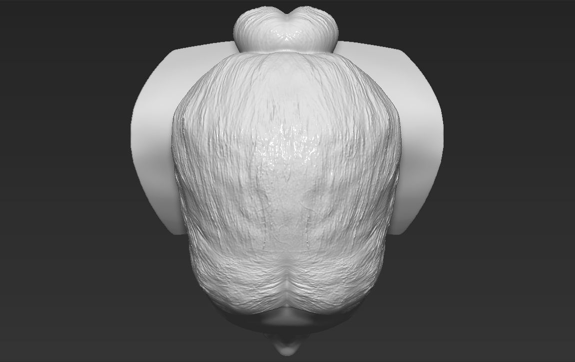 Meghan Markle bust ready for full color 3D printing 3D print model_35