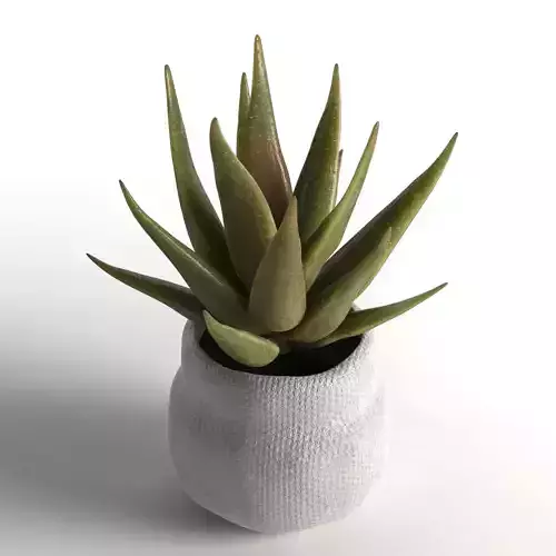 faux aloe plant