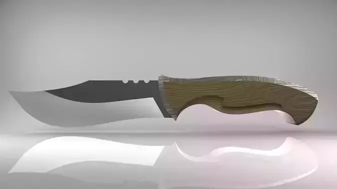 Knife with wooden handle