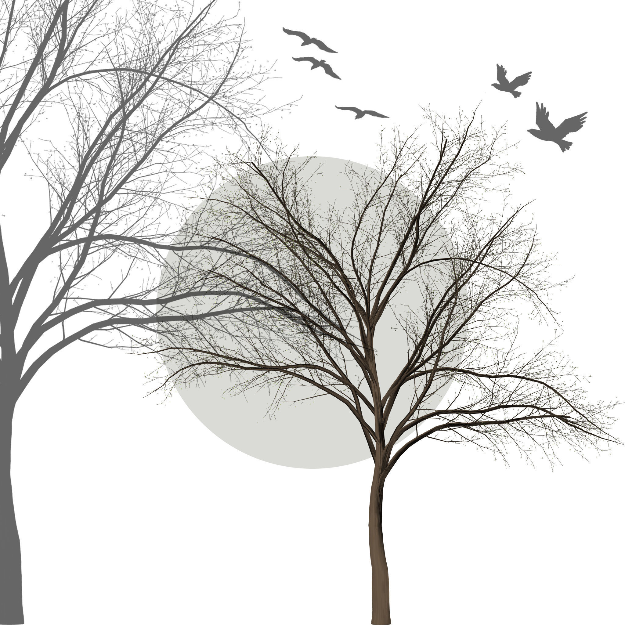 Collection of 6 trees Texture_4