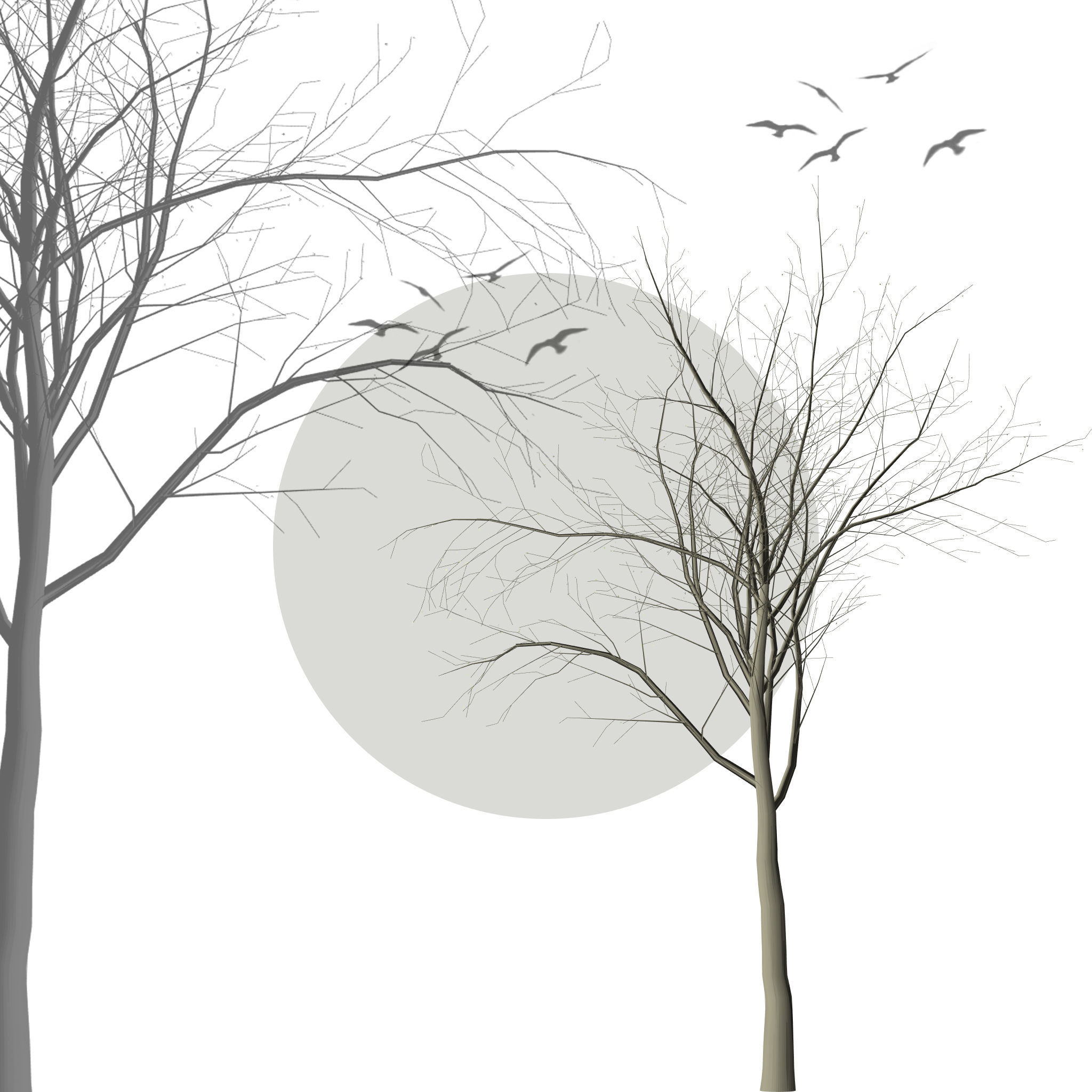 Collection of 6 trees Texture_5