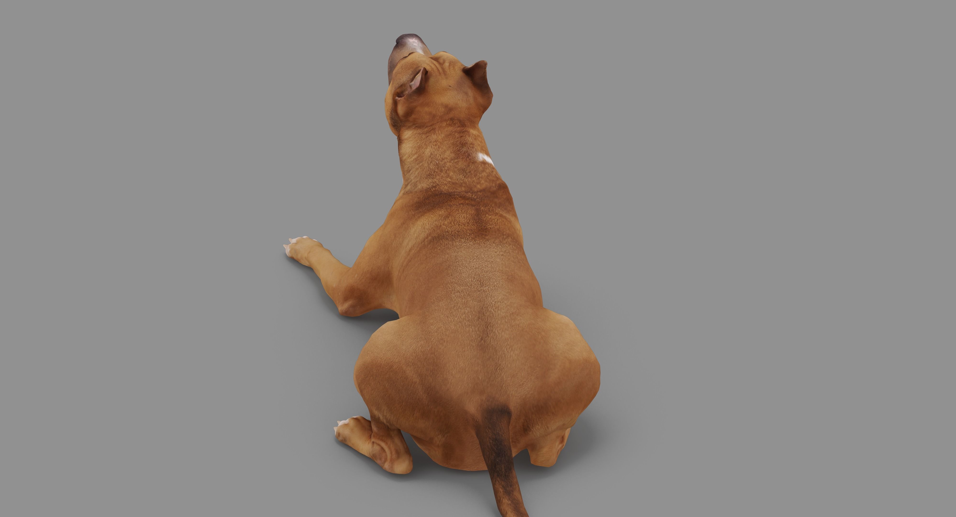 Staffordshire Lying Dog Low-poly 3D model_81