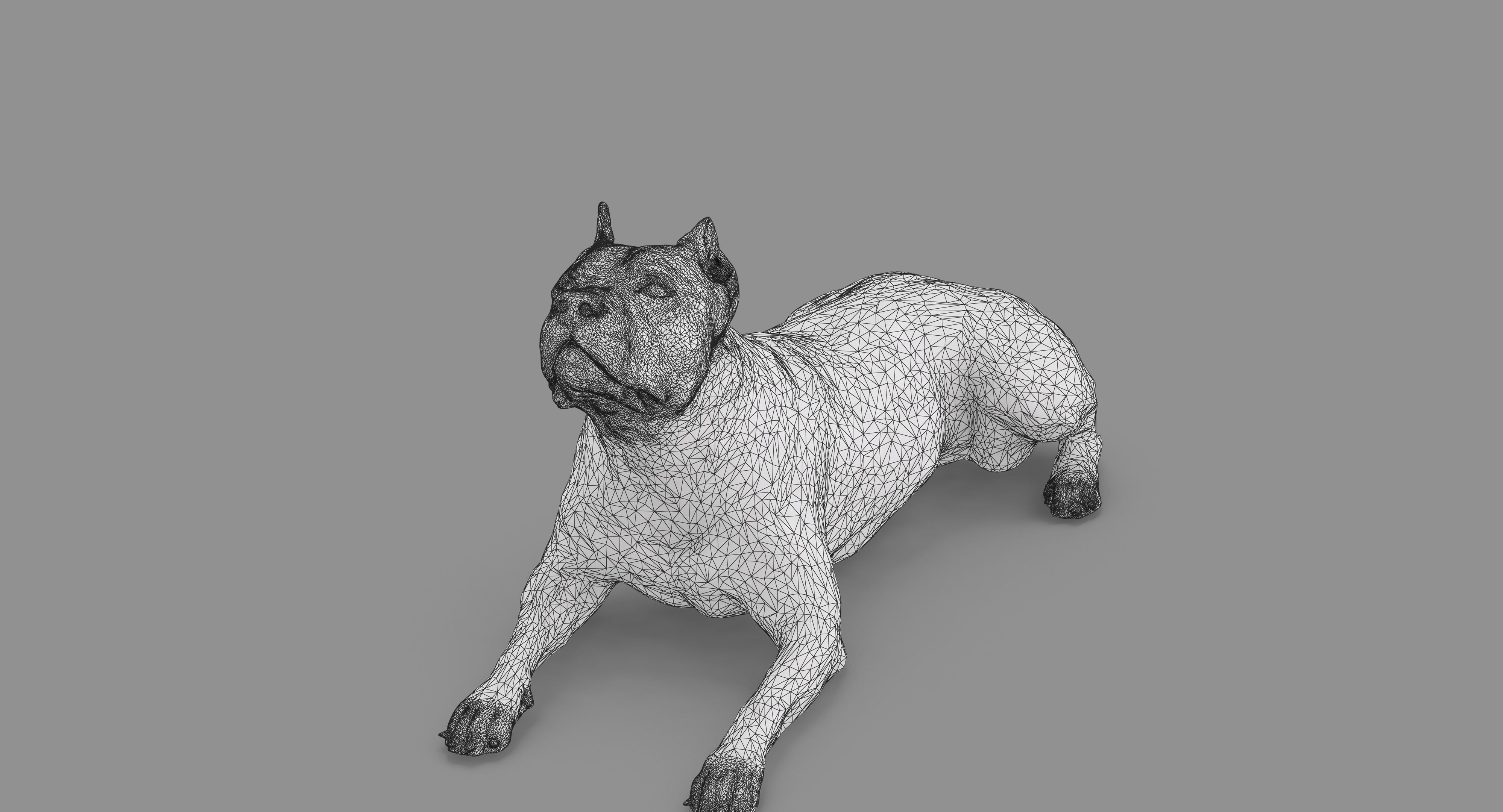 Staffordshire Lying Dog Low-poly 3D model_54