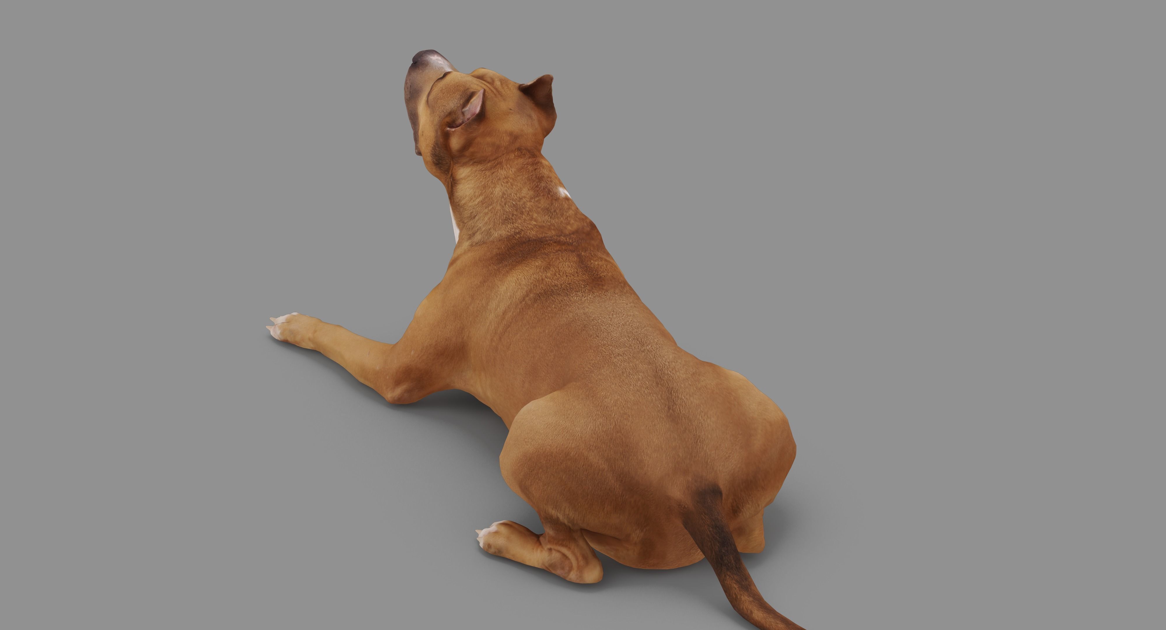 Staffordshire Lying Dog Low-poly 3D model_83