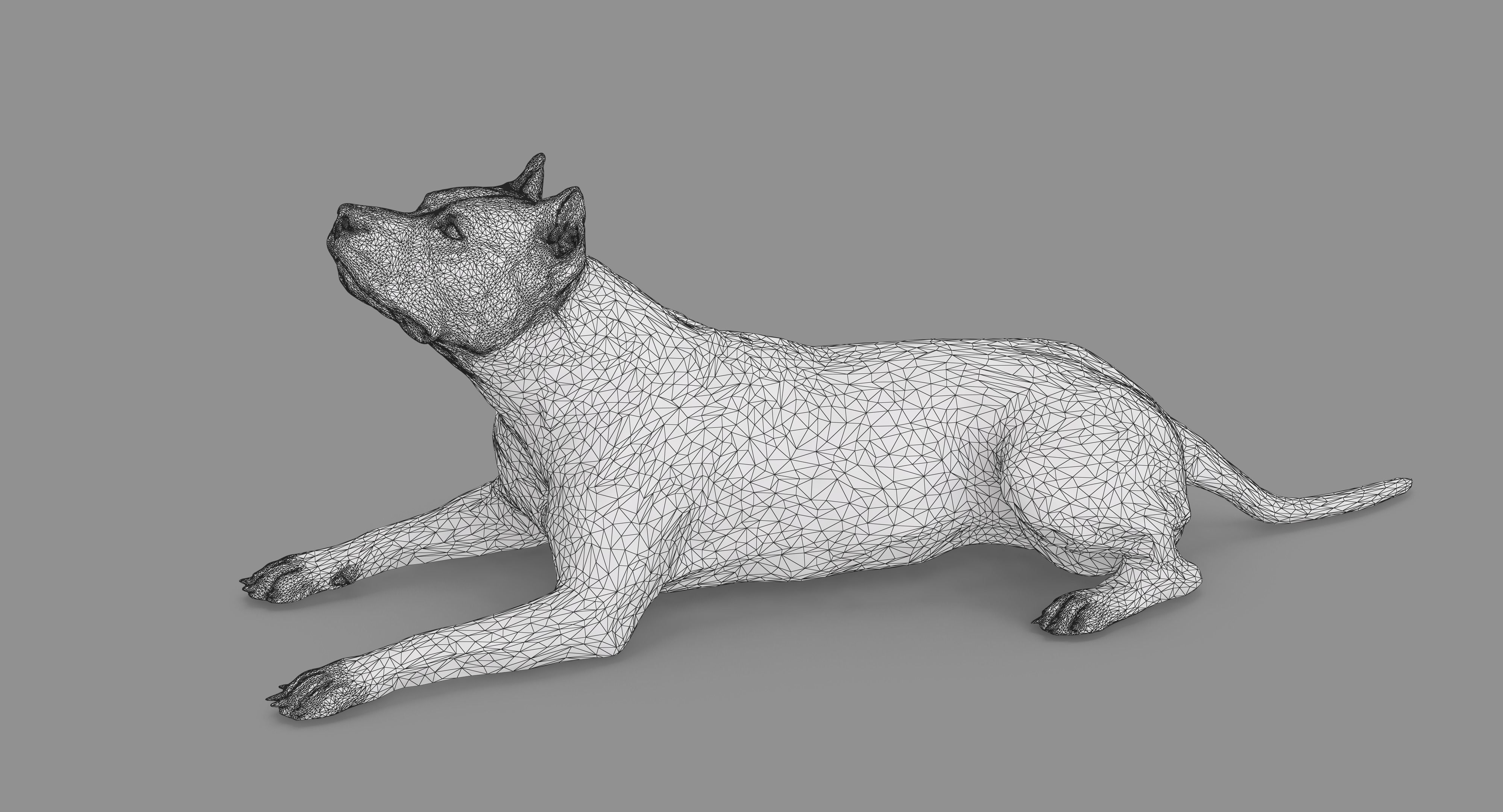 Staffordshire Lying Dog Low-poly 3D model_48
