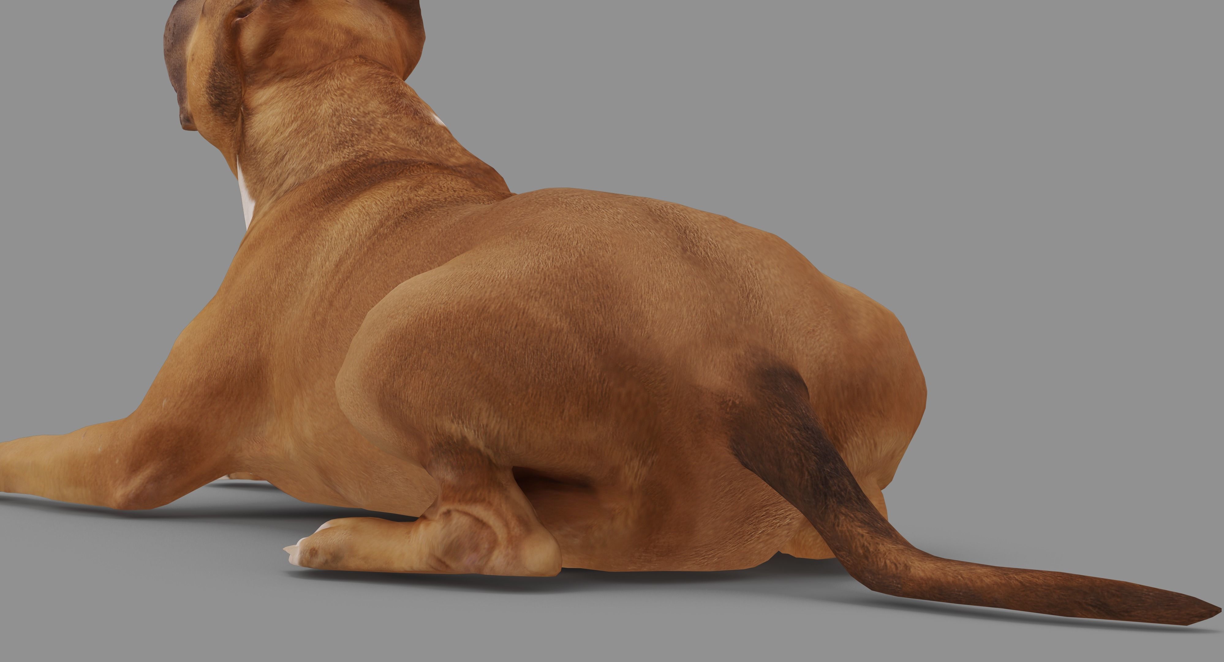 Staffordshire Lying Dog Low-poly 3D model_39