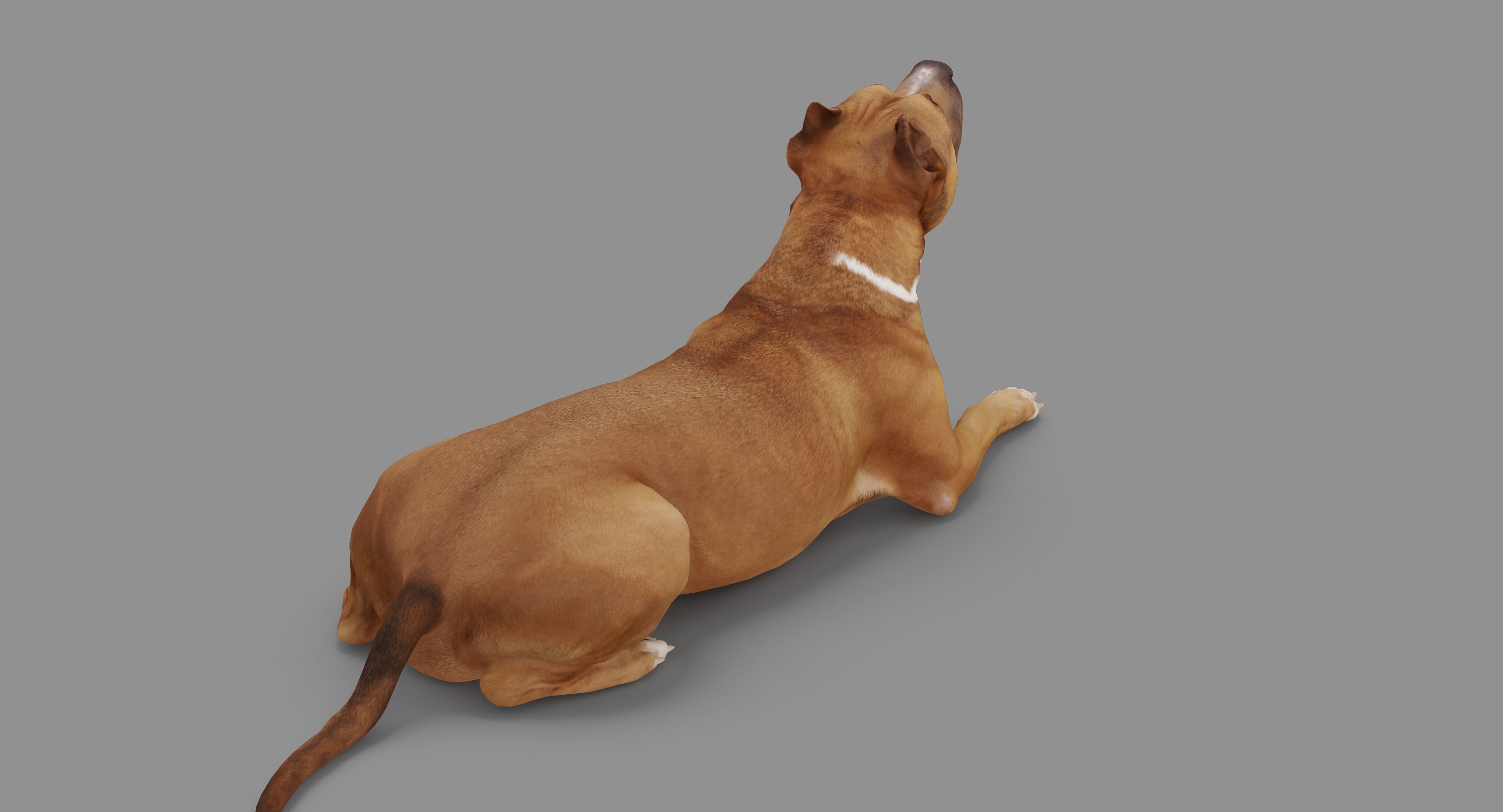 Staffordshire Lying Dog Low-poly 3D model_75