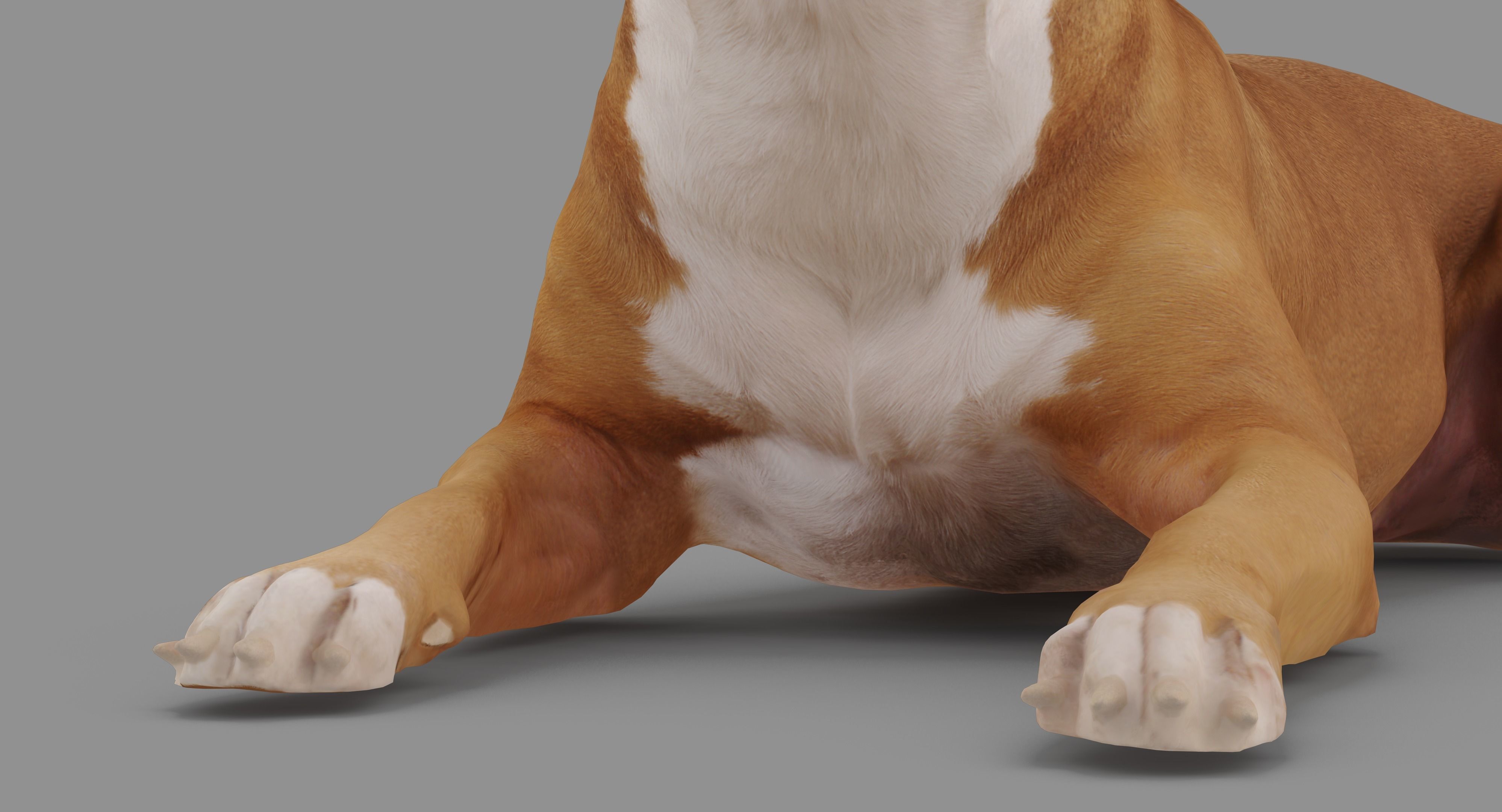 Staffordshire Lying Dog Low-poly 3D model_19