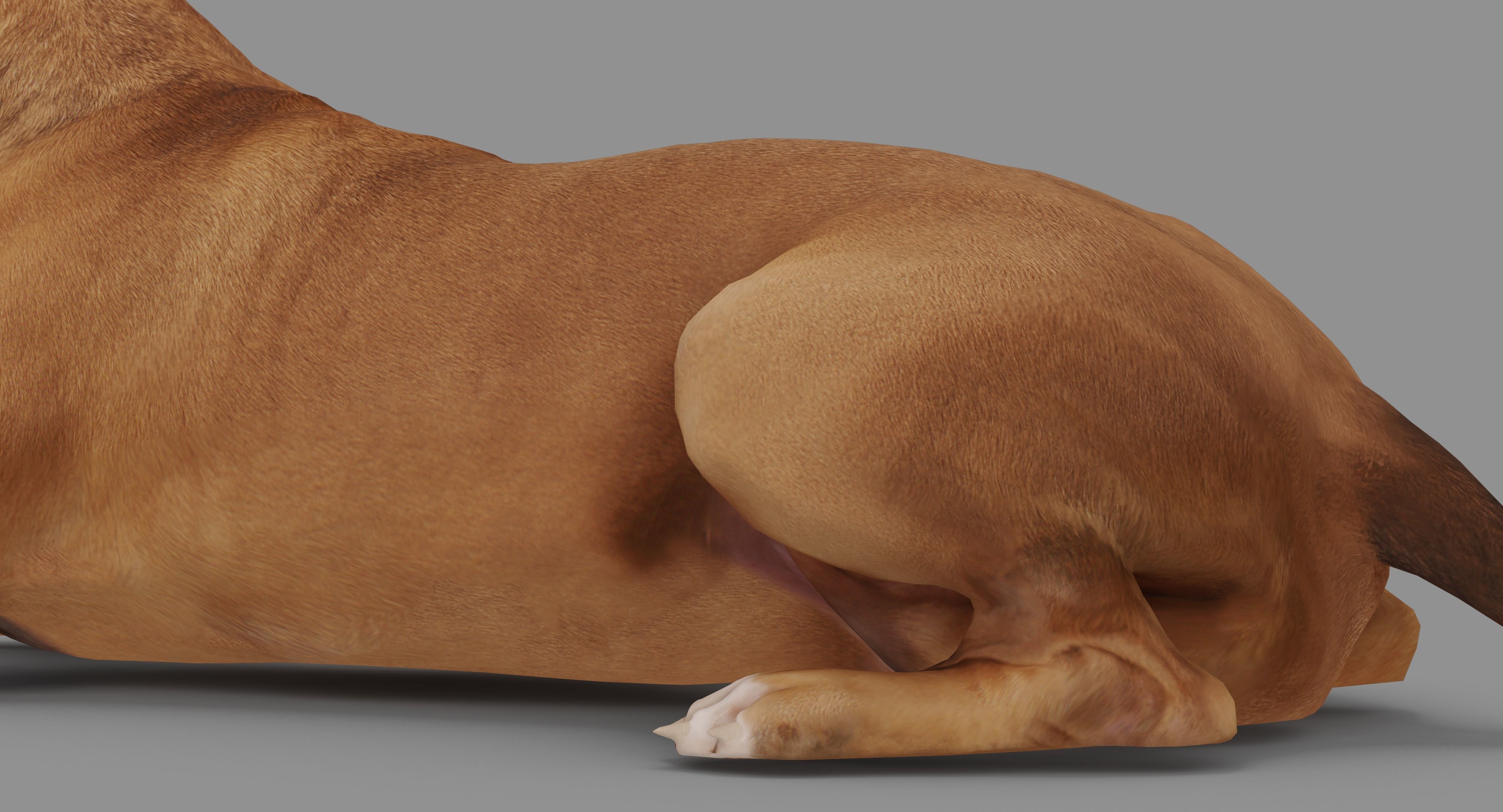 Staffordshire Lying Dog Low-poly 3D model_41