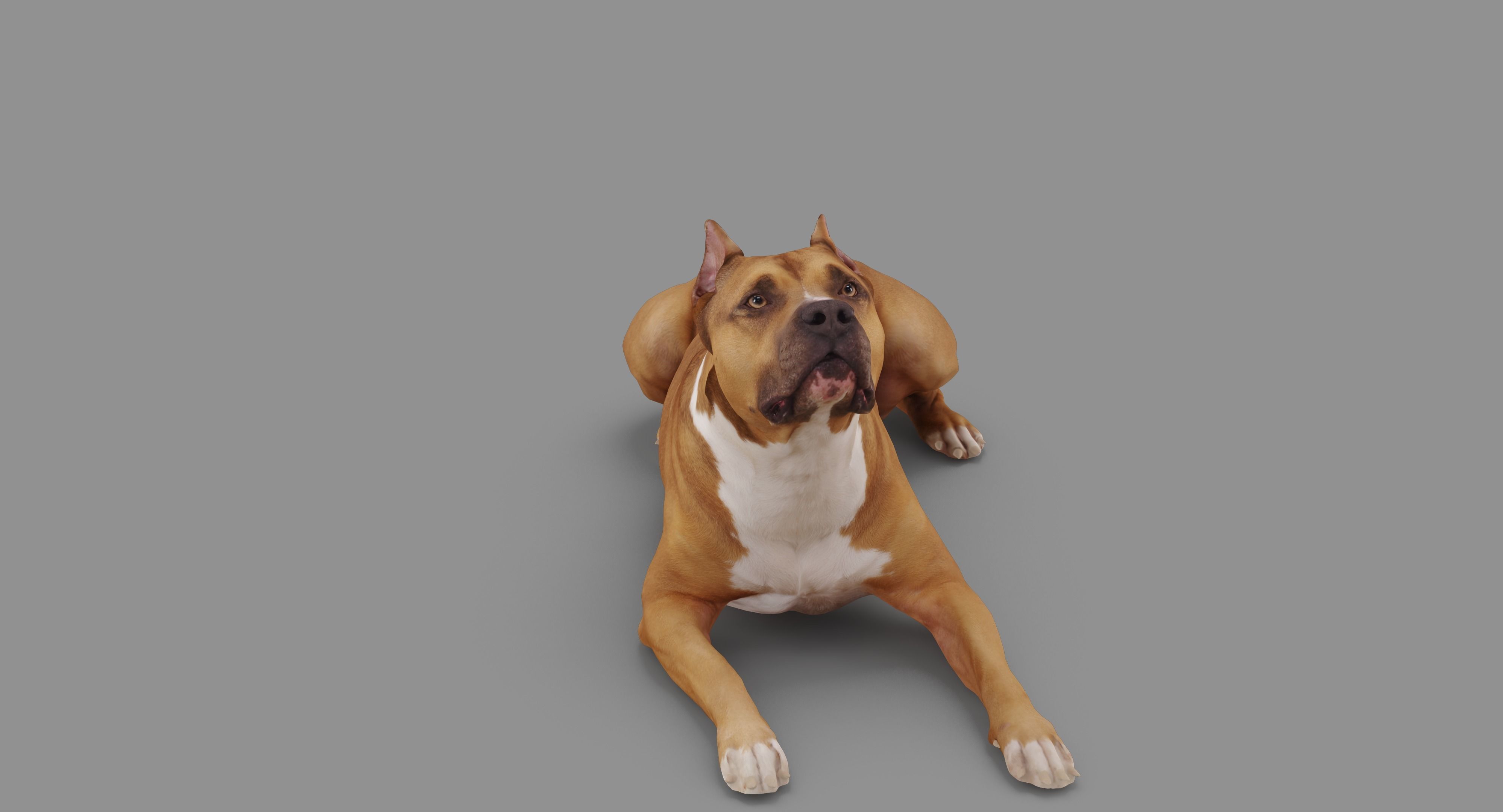Staffordshire Lying Dog Low-poly 3D model_57