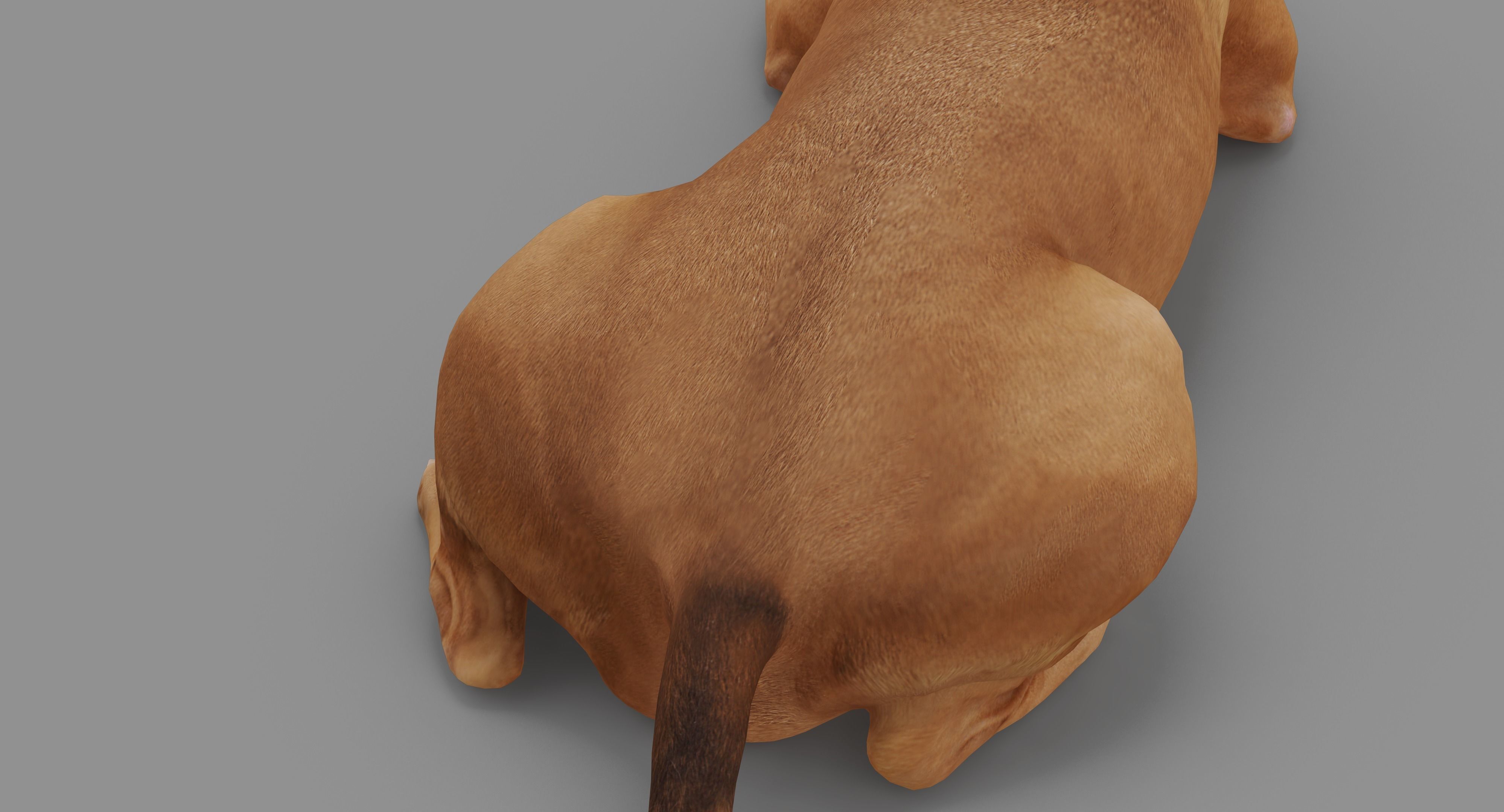 Staffordshire Lying Dog Low-poly 3D model_35