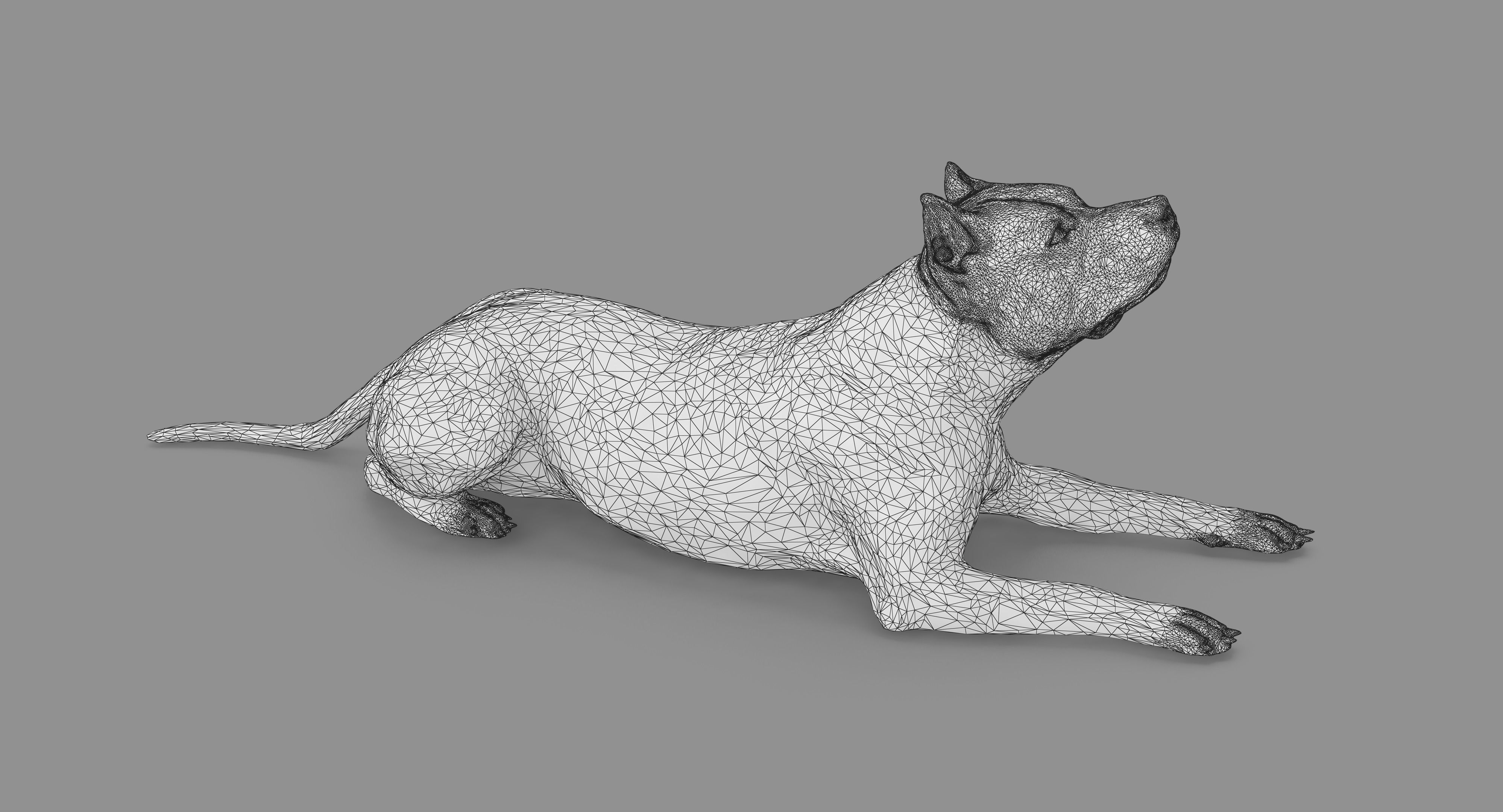 Staffordshire Terrier Collection x2 _81