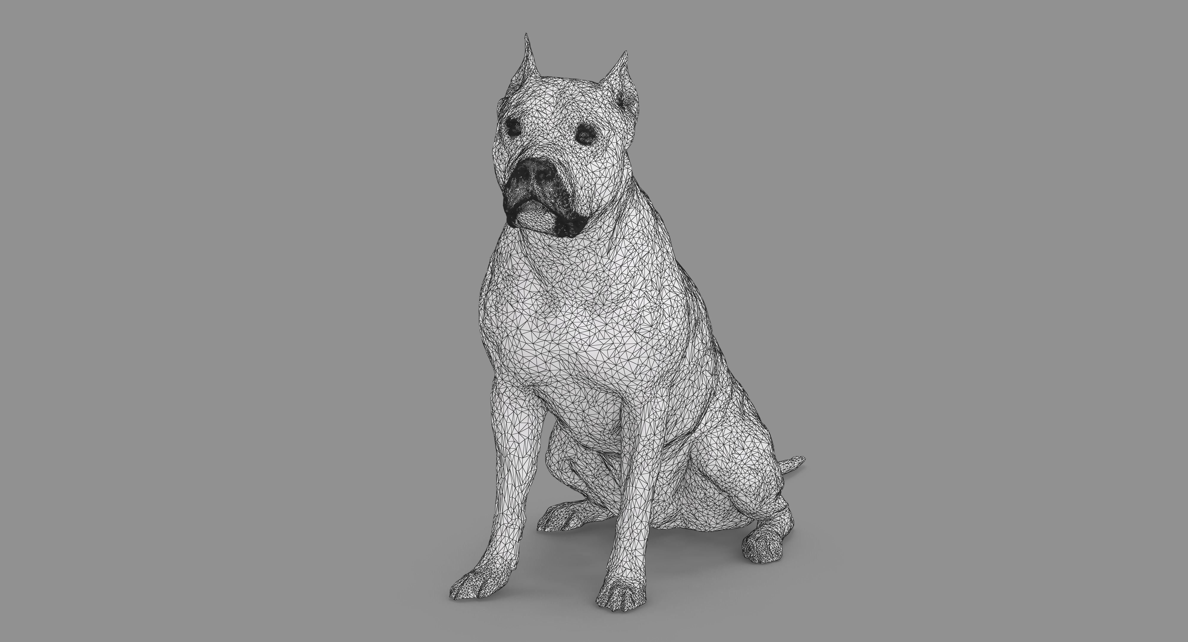 Staffordshire Terrier Collection x2 _22