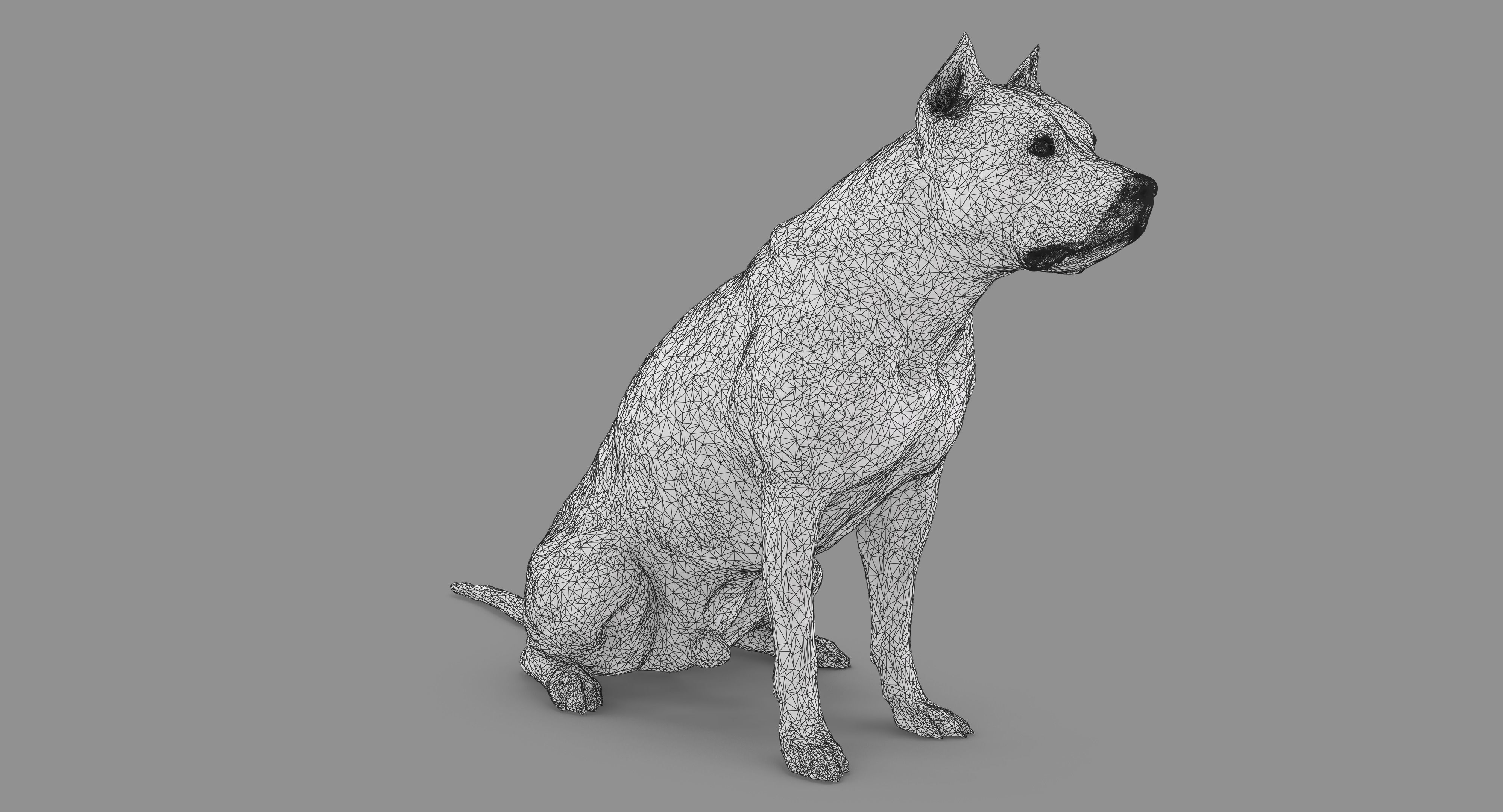 Staffordshire Terrier Collection x2 _28