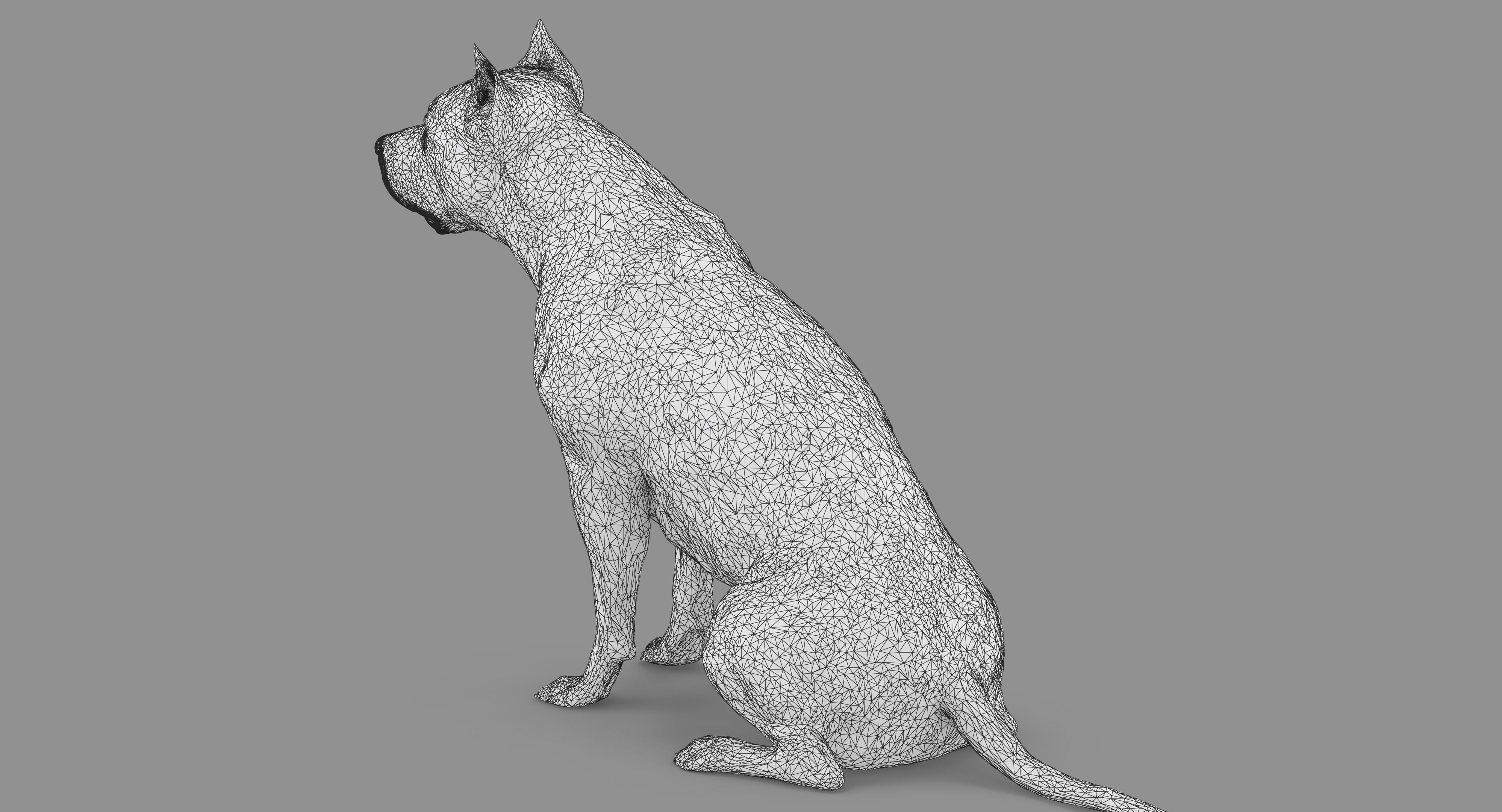 Staffordshire Terrier Collection x2 _60