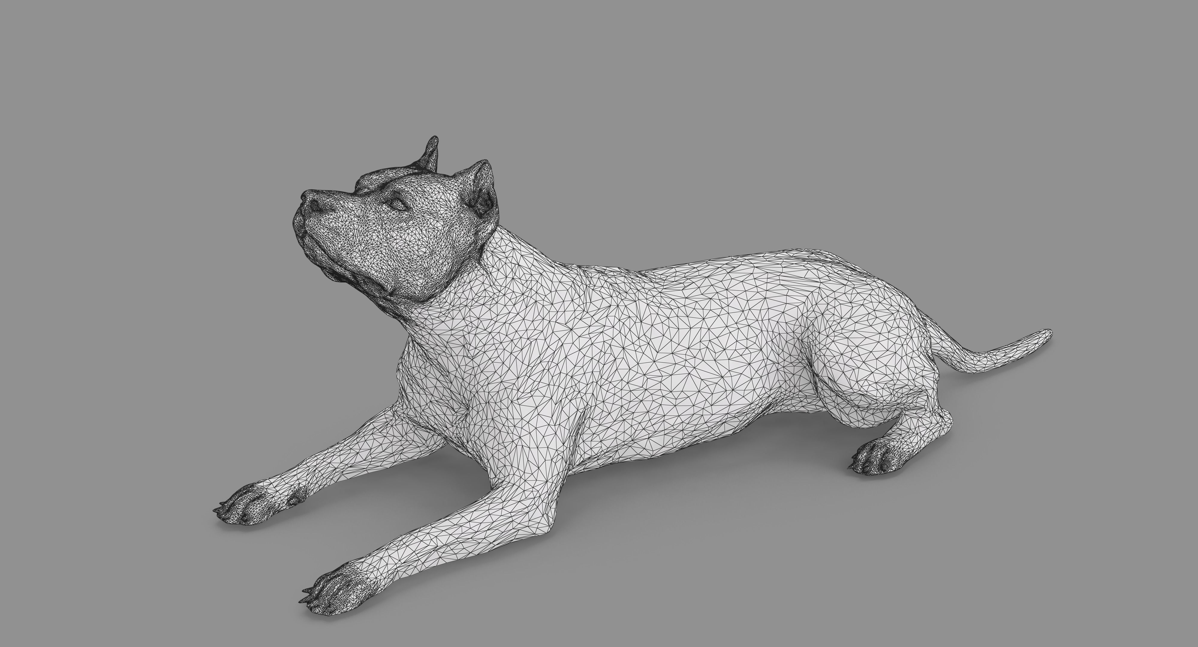 Staffordshire Terrier Collection x2 _73