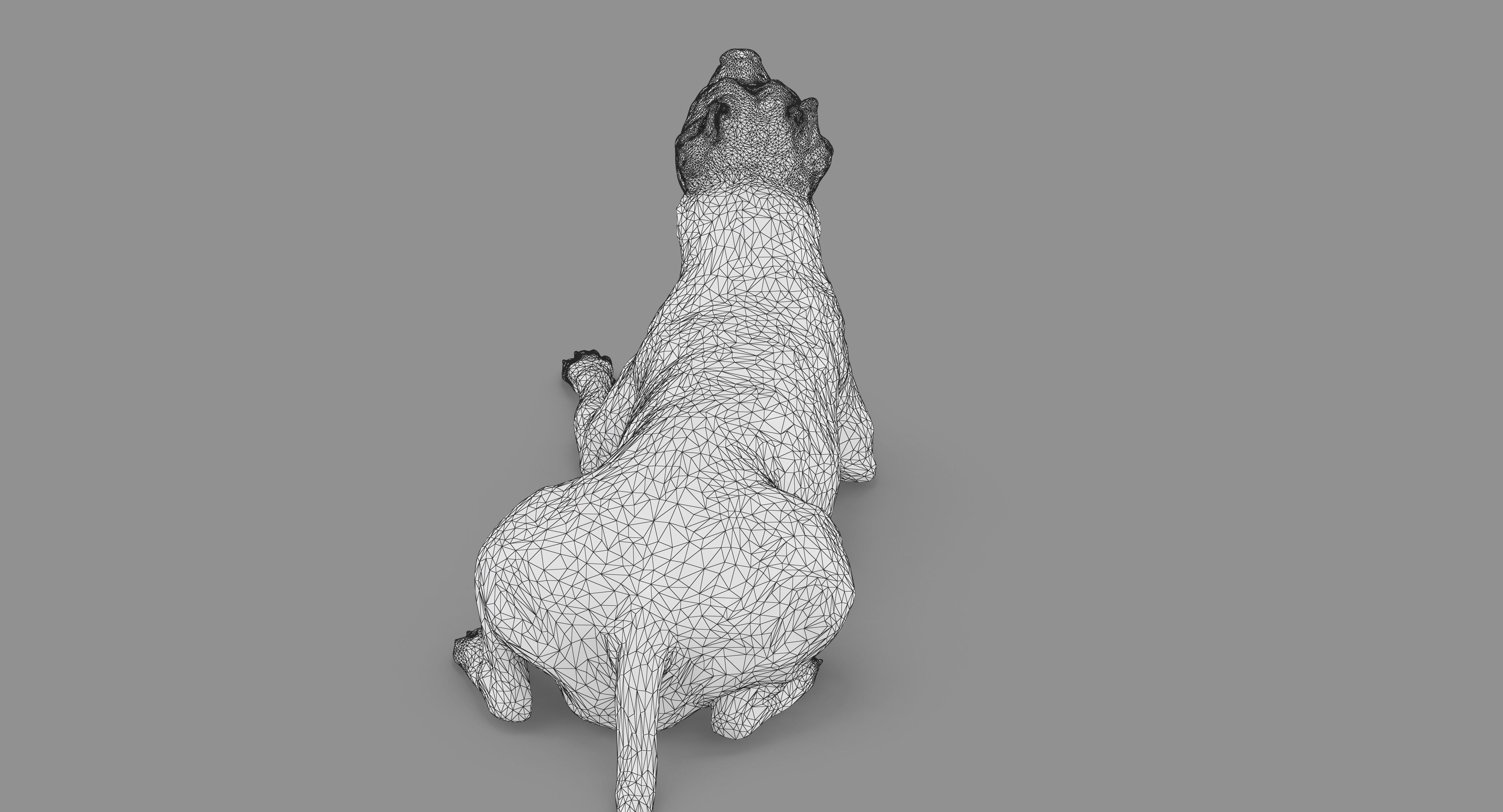 Staffordshire Terrier Collection x2 _96