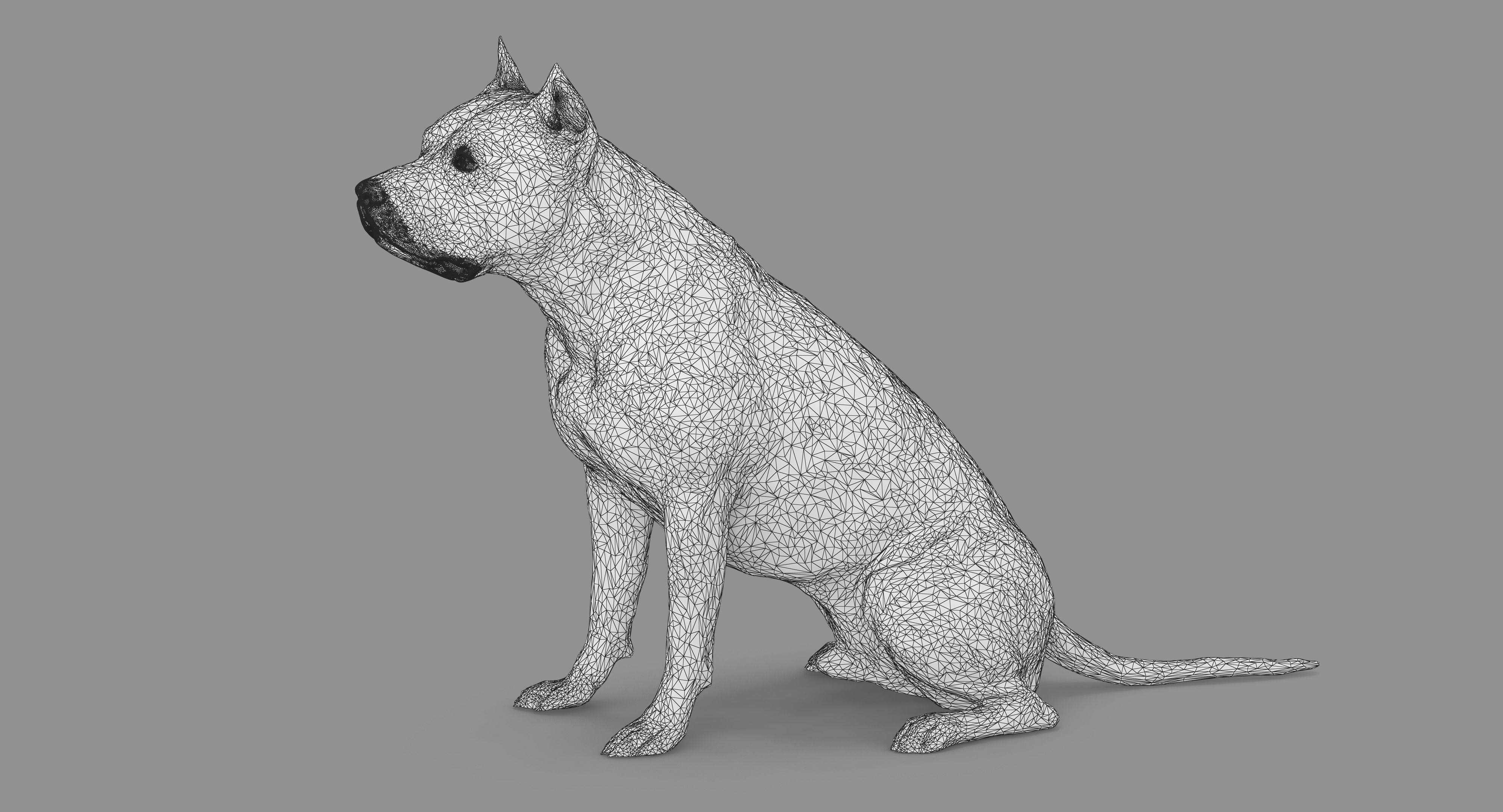 Staffordshire Terrier Collection x2 _44